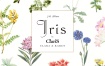 ClariS - Iris 2024 [24Bit/96kHz] [Hi-Res Flac 1.03GB]