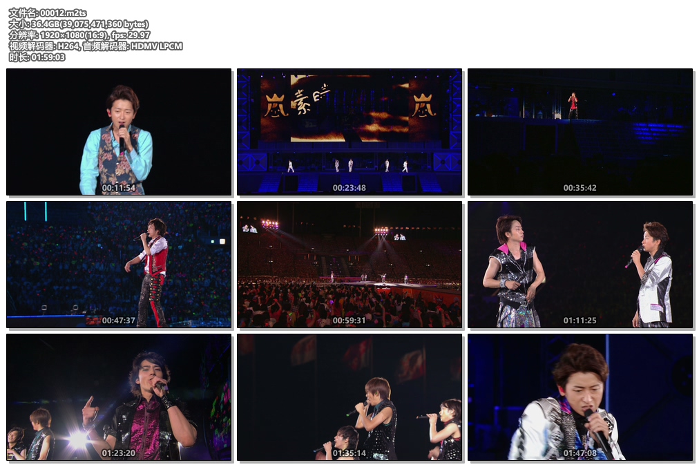 岚 ARAFES'13 国立体育馆演唱会 ARASHI ARAFES'13 NATIONAL STADIUM 